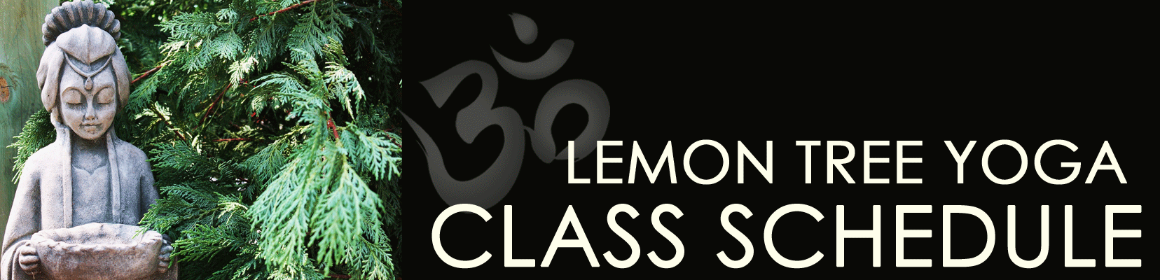 New Yoga Series – Lemon Tree Yoga